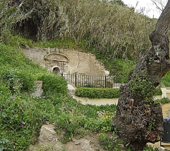 Parque El Cañuelo