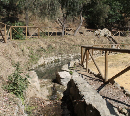 Parque Municipal “Los Manantiales”